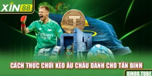 Cách thức chơi kèo Âu châu dành cho tân binh