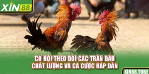 Cơ hội theo dõi các trận đấu chất lượng và cá cược hấp dẫn