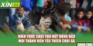 Hình thức chơi thu hút đông đảo mọi thành viên yêu thích chọi gà