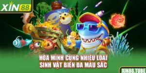 Hòa mình cùng nhiều loại sinh vật biển đa màu sắc