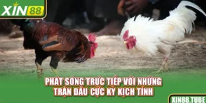Phát sóng trực tiếp với những trận đấu cực kỳ kịch tính
