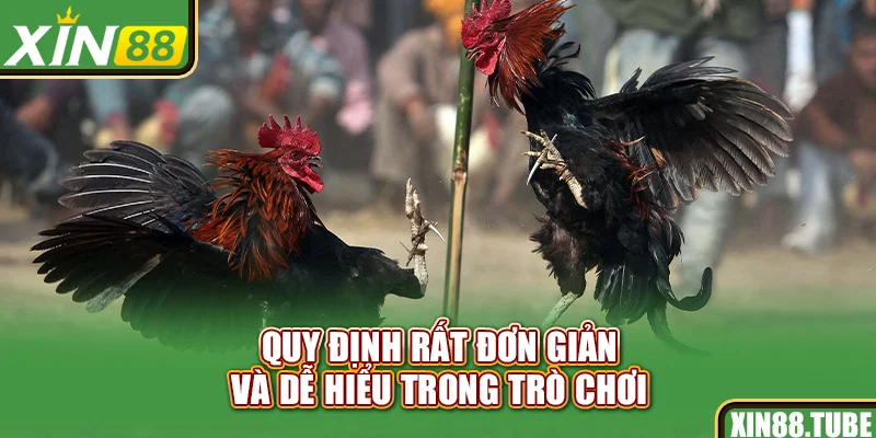 Quy định rất đơn giản và dễ hiểu trong trò chơi