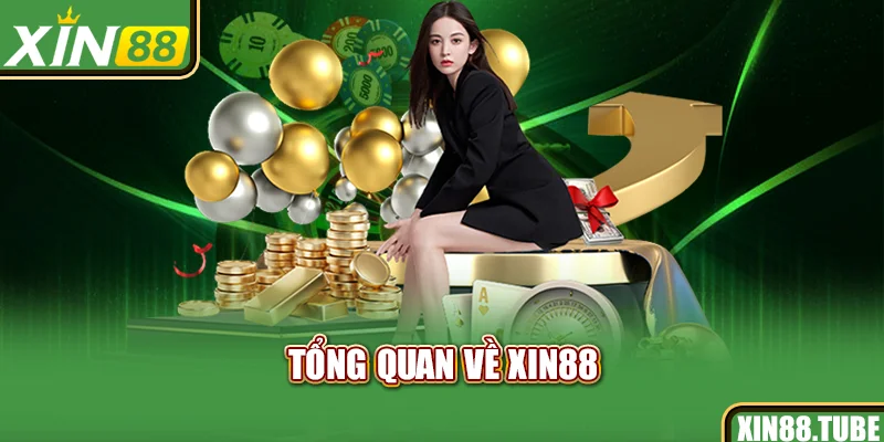 Tổng quan về Xin88